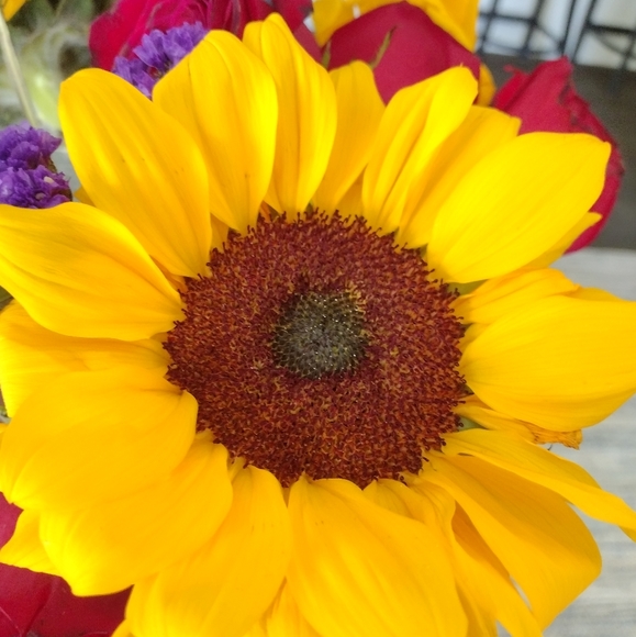 Meet your Posher, Katie-lynn - Picture 5 of 7